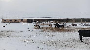 дом вагоны: 30 соток — 8