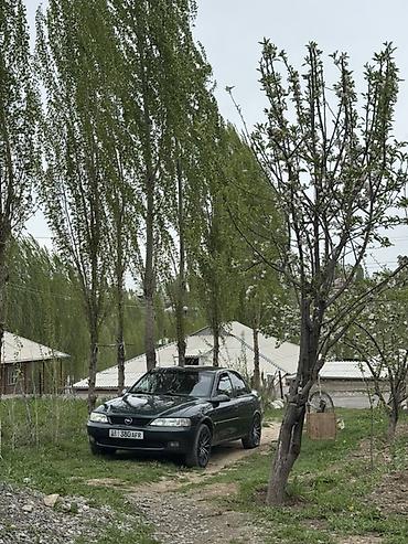 сиз 82 1: Opel Vectra: 1998 г., 1.8 л, Кол менен иштөөчү, Бензин, Седан — 2