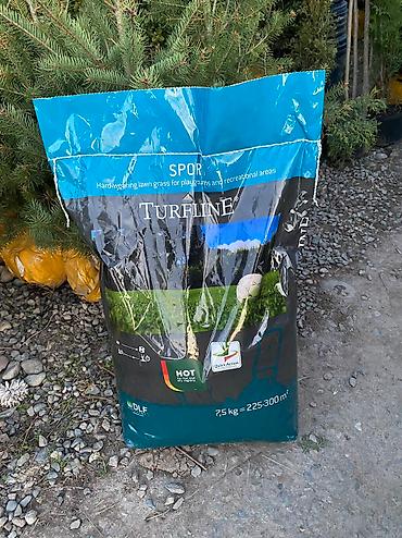 Газон: Газон газоны спорт низко рослый солнечный теневой универсальный — 7