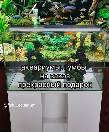 аквариум тумба: Готовые и на заказ аквариумы, тумбы. На подарок прекрасно! Для дома