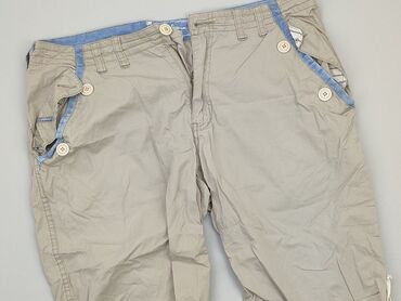 Trousers: Shorts for men, L (EU 40), condition - Very good