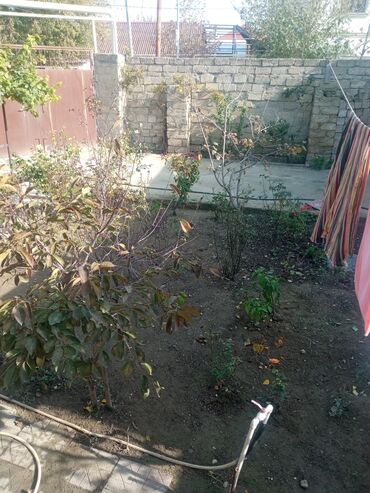 Otaqların uzunmüddətli kirayəsi: Satilr: geniş və işıqlı otaq.2 otaq 1 zal metbex hamam ayaq yolu — 26