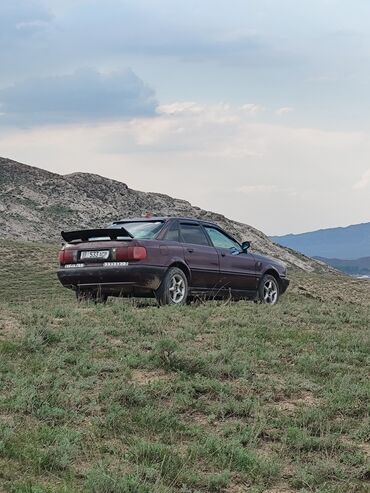 Audi: Audi 80: 1992 г., 2 л, Механика, Бензин, Хэтчбэк