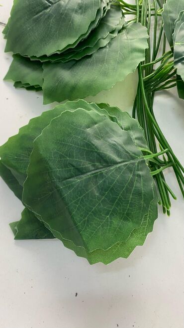 Digər ev dekoru: 5 man baslayan qiymetler Minumal qiymetler topdan ve perakenden satis -da lalafo.az — 25 Digər ev dekoru: 5 man baslayan qiymetler Minumal qiymetler topdan ve perakenden satis — 25