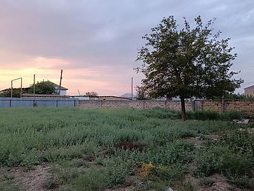 Həyət evləri və villaların satışı: 5 otaqlı, 143 kv. m, Təmirsiz — 17