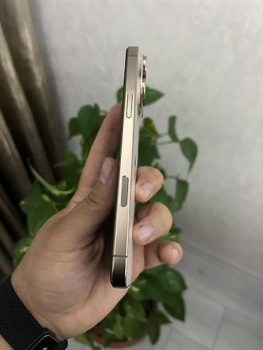 Apple iPhone: IPhone 16 Pro Max, 512 GB, Qızılı, Face ID -da lalafo.az — 2 Apple iPhone: IPhone 16 Pro Max, 512 GB, Qızılı, Face ID — 2
