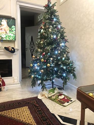 180 sm yolka: Yeni il üçün bəzədilmiş süni şam ağacı - Təxmini hündürlük: 2,2 m — 1