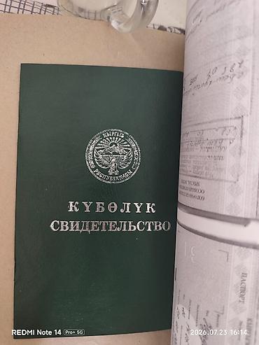 багара: 34 соток, Тех паспорт, Красная книга — 2