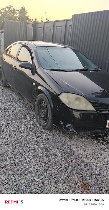 грунтовка для авто: Nissan Primera: 2003 г., Седан — 5