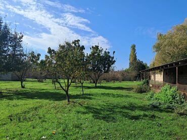 Bağ evlərinin satışı: Xaçmaz, 2 kv. m, 1 otaqlı, Hovuzsuz, Qaz, Su, İşıq — 11