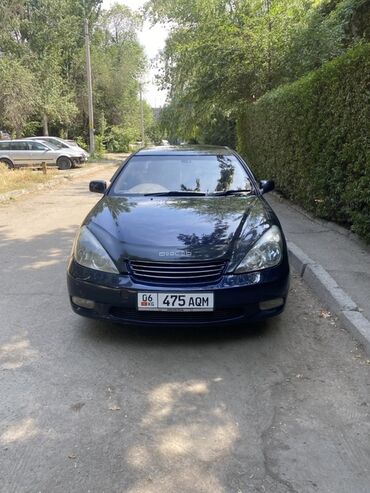 сиденья виндом: Toyota Windom: 2001 г., 3 л, Автомат, Бензин, Седан