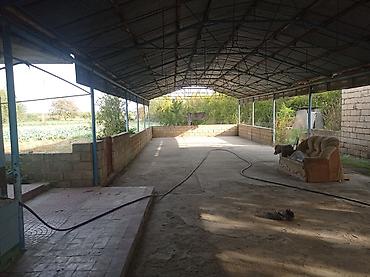 kohnə gunəsli kirayə ev: 3 otaqlı, 64 kv. m, Kredit yoxdur, Orta təmir — 2