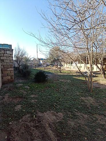 сдам гараж: Maştağa-Bilgəh yolunun üstündə 50 kvm. Qaraj biznes məqsədli icarə — 10