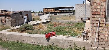 оптовый товар: Farm КРС, 6 соток, Без оборудования, Электричество — 1