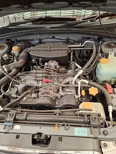 Subaru: Subaru Forester: 2004 г., Автомат, Бензин, Универсал — 7