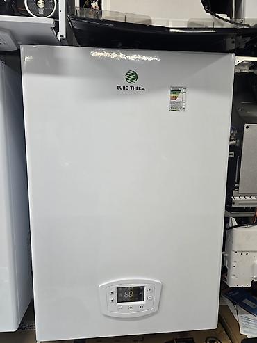 Настенный газовый котел Euro Therm - Тип: настенный двухконтурный
