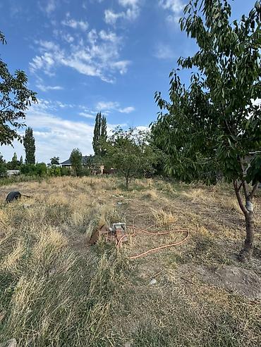 Продажа коттеджей и домов: 2 комнаты, 80 м², 11 соток, Шопоков, Риэлтор — 11