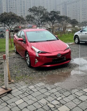 тойота арис: Toyota Prius: 2016 г., 1.8 л, Вариатор, Гибрид, Хэтчбэк