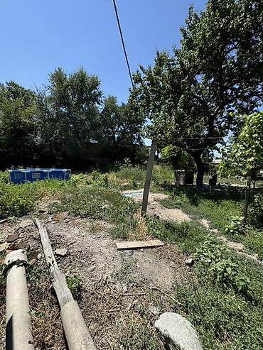Продажа коттеджей и домов: ‼️‼️‼️‼️СРОЧНО ‼️‼️‼️‼️‼️ 🏡 Продаётся дом в центре села Беловодское! — 5