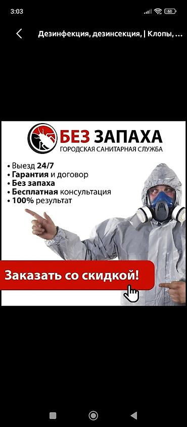 Дезинфекция, дезинсекция: Дезинфекция, дезинсекция, | Вирусы, микробы, Мыши и крысы, Блохи, | Офисы, Транспорт, Подвал, погреб — 1