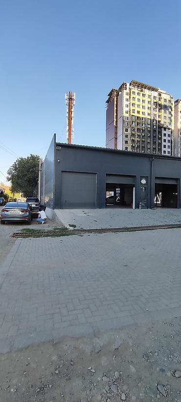 дио: Автосервис с несколькими постами и подъемниками Услуги качество и — 1