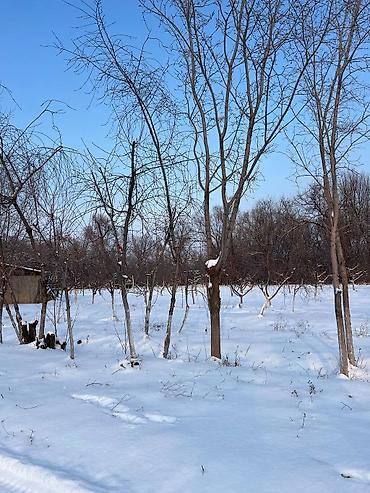 Продажа участков: 115 соток, Для бизнеса, Красная книга, Тех паспорт, Договор купли-продажи — 3