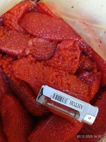 малек амура: Куплю икру фореликрупную свежую в ястыках от 10 кг и более.
икра — 2