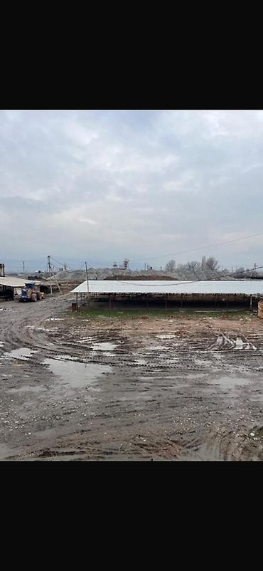 хлеб завод: Завод, С оборудованием, 20000 м² — 10