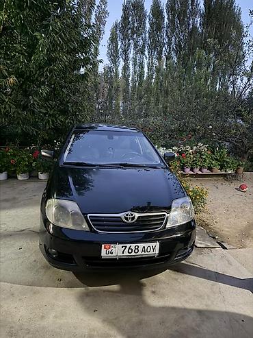195 65 15 с: Toyota Corolla: 2006 г., 1.6 л, Автомат, Бензин, Седан — 1