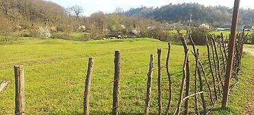 Torpaq sahələrinin satışı: Tikinti -da lalafo.az — 4 Torpaq sahələrinin satışı: Tikinti — 4