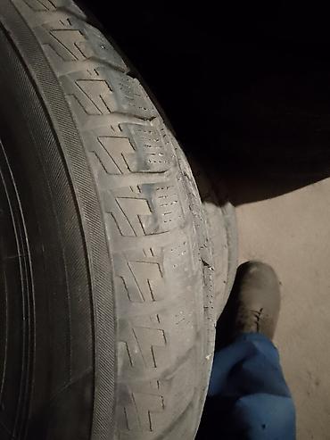 r16 4100: Комплект зимних шин — 4 штуки. Размер: **215/60 R16** Индекс — 4