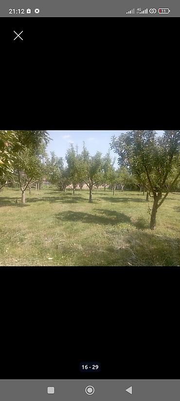 Продажа участков: 25 соток at lalafo.kg — 12 Продажа участков: 25 соток — 12