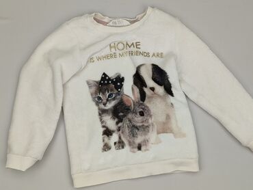 Bluza, H&M, 3-4 lat, 98-104 cm, stan - Bardzo dobry