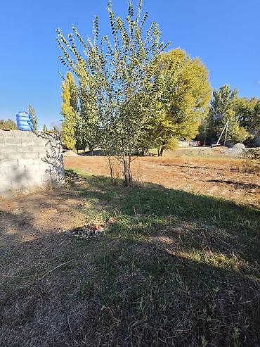 село ленинский дом продаю: 3 комнаты, 40 м², 15 соток, Сокулук — 3