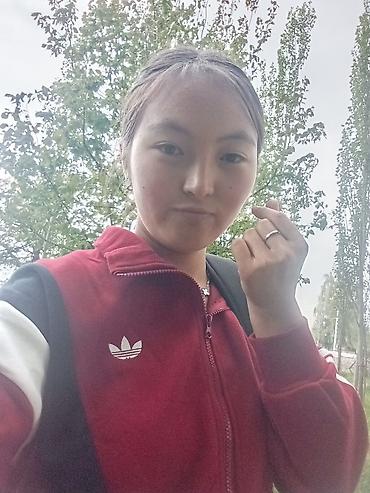 толстовка adidas: Велосипедная кофта/толстовка Adidas Originals - Модель: спортивная — 2