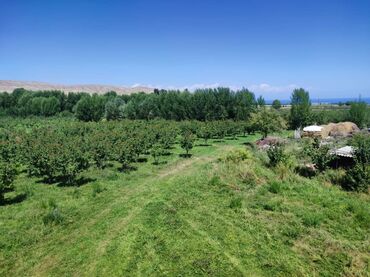продаю дом кочкор: 27500 соток, Техпаспорт