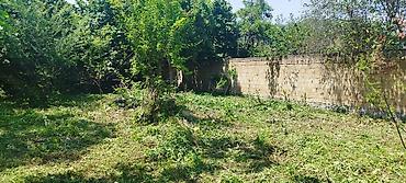 Torpaq sahələrinin satışı: Tikinti, Mülkiyyətçi, Kupça (Çıxarış) -da lalafo.az — 36 Torpaq sahələrinin satışı: Tikinti, Mülkiyyətçi, Kupça (Çıxarış) — 36