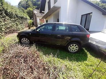 ajkula auto: KOMPLETAN AUTO U DELOVIMA ZA AUDI A3 | Kompletan auto u delovima — 3