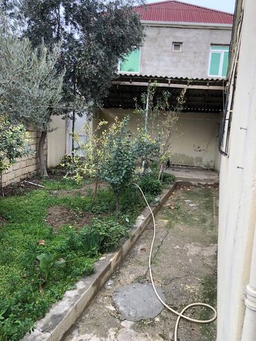 Uzunmüddətli kirayə evlər: Masazirda rahat markEte yaxin 3 otaq oddelni xozeykasiz heyet evi — 4