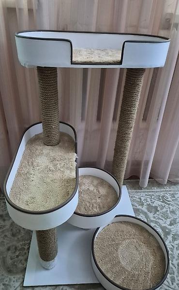 кане: Игровой комплекс для кошек с лежанками и когтеточками. Размеры: высота — 2