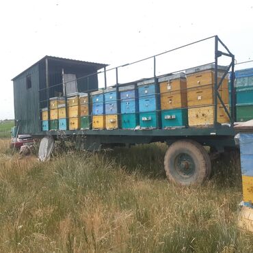 прицеп для воды: Чиркегич