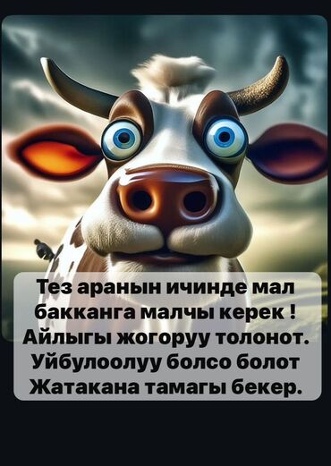 работа для семейных пар с проживанием: Талап кылынат Малчы, Төлөм Ай сайын, Тамактануу