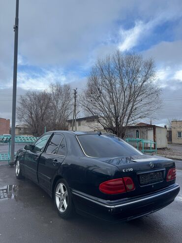 Mercedes-Benz: Mercedes-Benz E-Class: 1995 г., 2.3 л, Механика, Бензиновая, Седан — 7