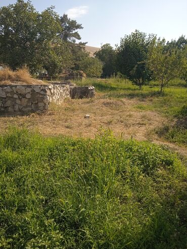 Продажа участков: 20 соток, Для сельского хозяйства — 4