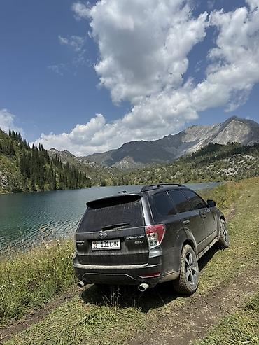 ej253: Subaru Forester: 2010 г., 2.5 л, Автомат, Бензин, Кроссовер — 5