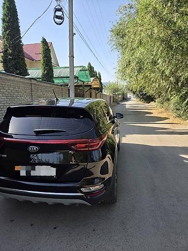 sprinter rex: Kia Sportage: 2019 г., 2 л, Автомат, Бензин, Кроссовер — 2