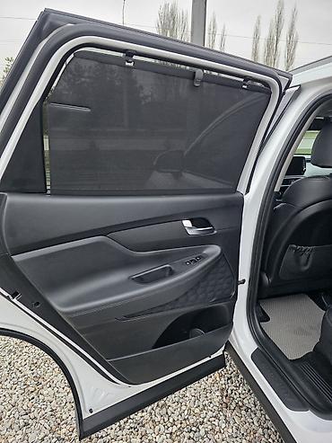 Hyundai: Hyundai Santa Fe: 2019 г., 2 л, Автомат, Кроссовер — 4