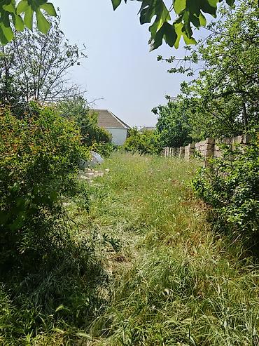 nic: Tikinti üçün tam yararlı torpaq sahəsi satılır. ✅ Etibarnamə (99 — 2