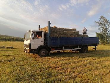 atego автовоз: Грузовик, Mercedes-Benz, Стандарт, Б/у — 9