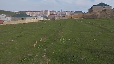 Torpaq sahələrinin satışı: Tikinti — 6